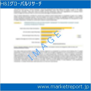 市場と産業調査レポートのイメージ